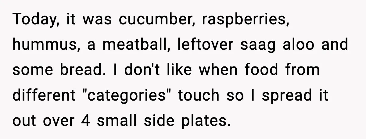 Today, it was cucumber, raspberries, hummus, a meatball, leftover saag aloo and some bread. I don't like when food from different "categories" touch so I spread it out over 4...