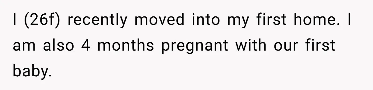 I (26f) recently moved into my first home. I am also 4 months pregnant with our first baby.