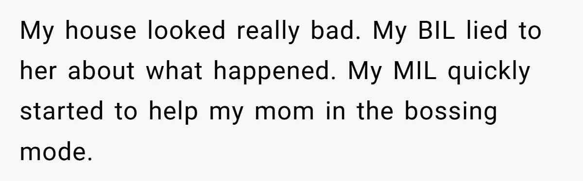 My house looked really bad. My BIL lied to her about what happened. My MIL quickly started to help my mom in the bossing mode.