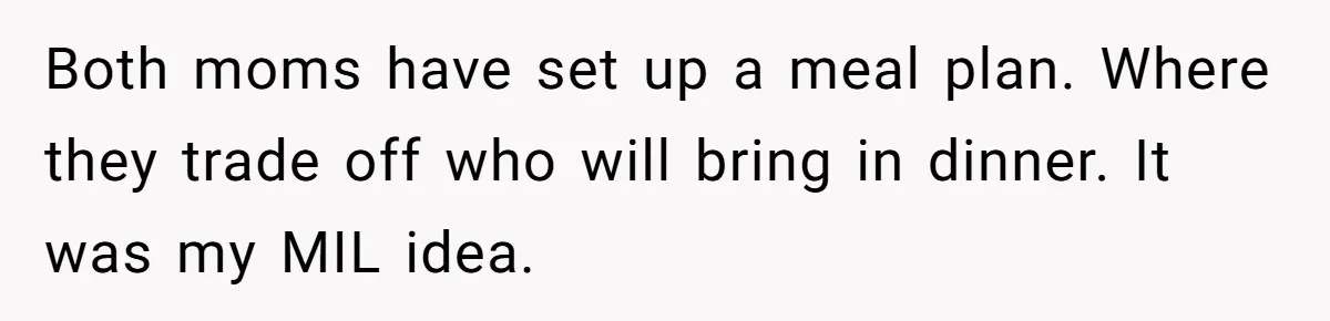 Both moms have set up a meal plan. Where they trade off who will bring in dinner. It was my MIL idea.
