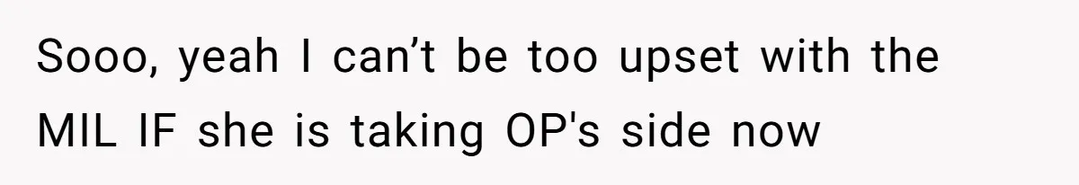 Sooo, yeah I can’t be too upset with the MIL IF she is taking OP's side now