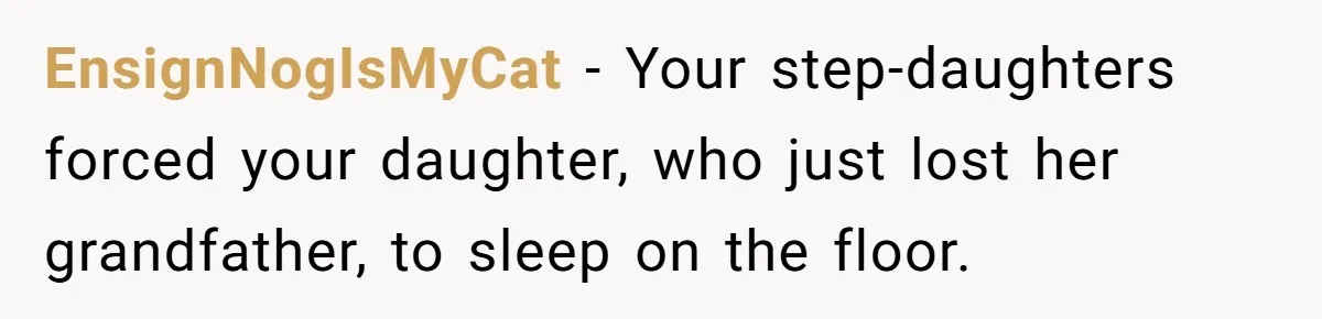 Father Books Separate Hotel Room For Daughter After Stepmother’s Kids Force Her To Sleep On Floor EnsignNogIsMyCat − Your step-daughters forced your daughter, who just lost her grandfather, to sleep on the floor.