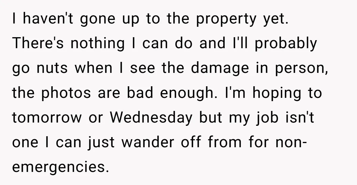I haven't gone up to the property yet. There's nothing I can do and I'll probably go nuts when I see the damage in person, the photos are bad enough....