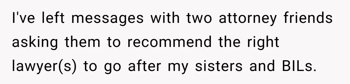 I've left messages with two attorney friends asking them to recommend the right lawyer(s) to go after my sisters and BILs.