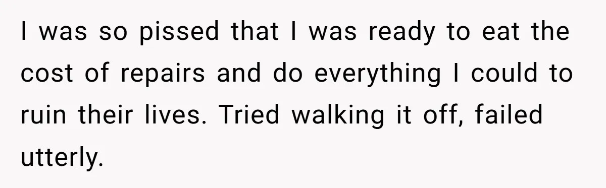 I was so pissed that I was ready to eat the cost of repairs and do everything I could to ruin their lives. Tried walking it off, failed utterly.
