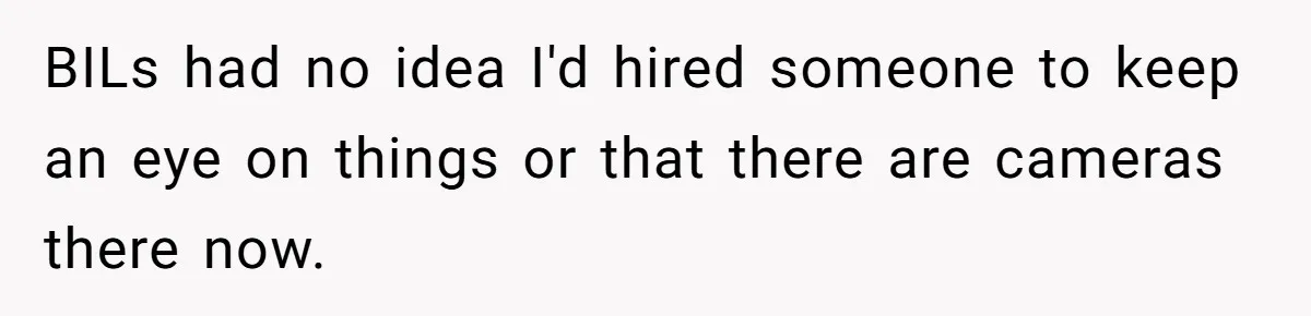 BILs had no idea I'd hired someone to keep an eye on things or that there are cameras there now.