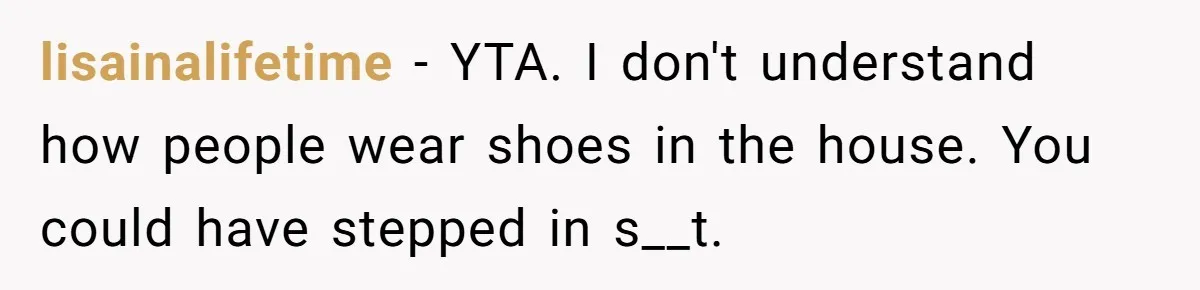 lisainalifetime − YTA. I don't understand how people wear shoes in the house. You could have stepped in s__t.