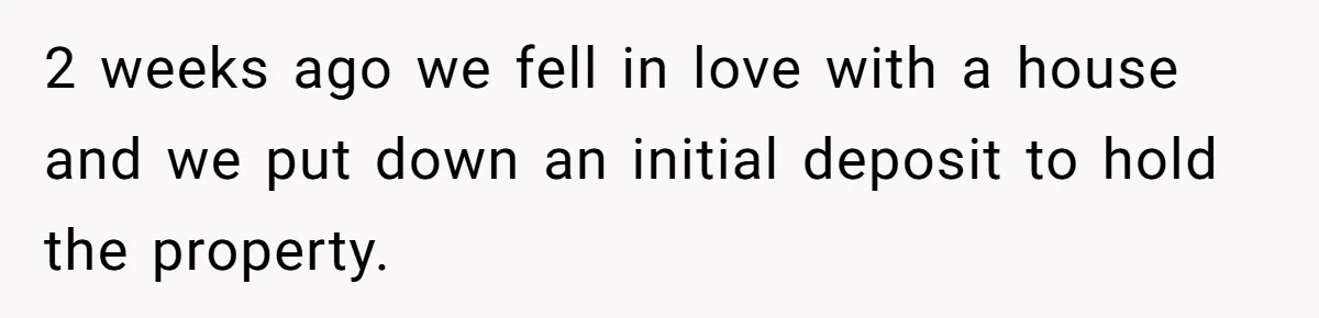 2 weeks ago we fell in love with a house and we put down an initial deposit to hold the property.