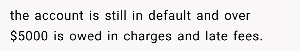 the account is still in default and over $5000 is owed in charges and late fees.