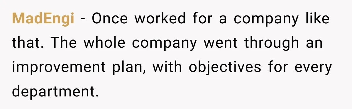 MadEngi − Once worked for a company like that. The whole company went through an improvement plan, with objectives for every department.