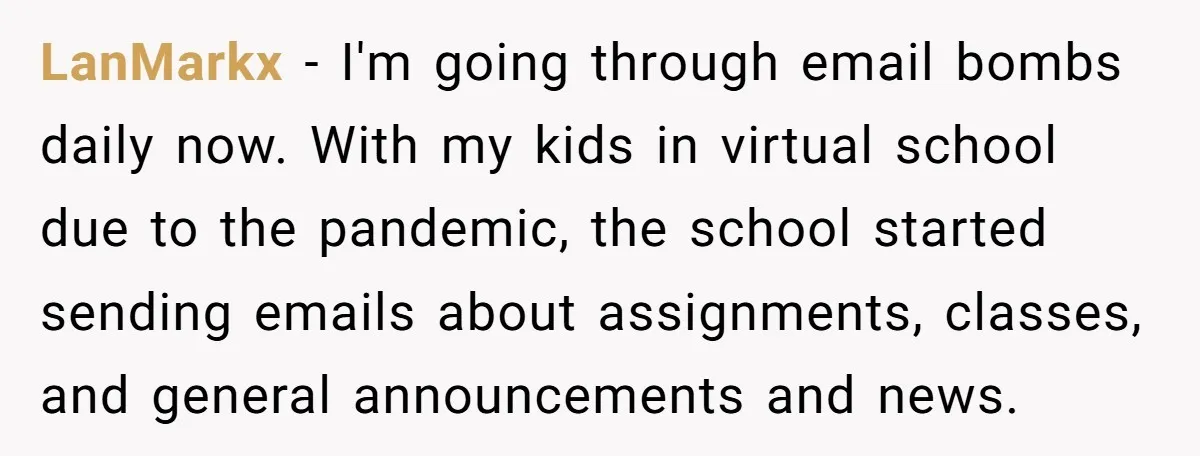 LanMarkx − I'm going through email bombs daily now. With my kids in virtual school due to the pandemic, the school started sending emails about assignments, classes, and general announcements...