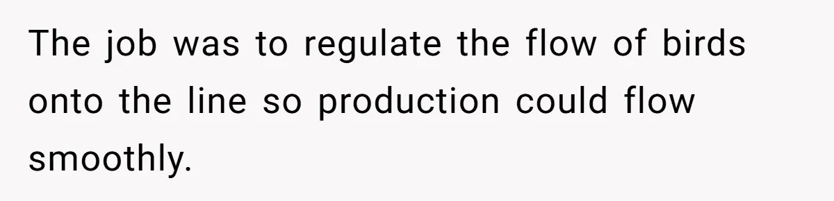 The job was to regulate the flow of birds onto the line so production could flow smoothly.