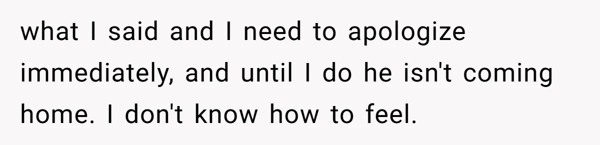 what I said and I need to apologize immediately, and until I do he isn't coming home. I don't know how to feel.