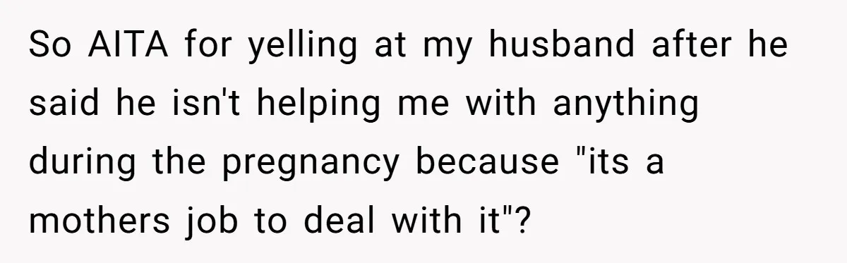 So AITA for yelling at my husband after he said he isn't helping me with anything during the pregnancy because "its a mothers job to deal with it"?