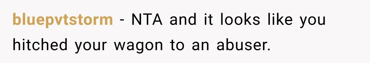 bluepvtstorm − NTA and it looks like you hitched your wagon to an abuser.
