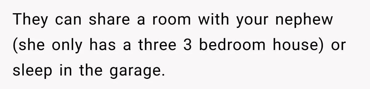 They can share a room with your nephew (she only has a three 3 bedroom house) or sleep in the garage.
