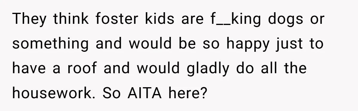 They think foster kids are f__king dogs or something and would be so happy just to have a roof and would gladly do all the housework. So AITA here?