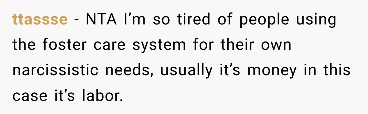 ttassse − NTA I’m so tired of people using the foster care system for their own narcissistic needs, usually it’s money in this case it’s labor.