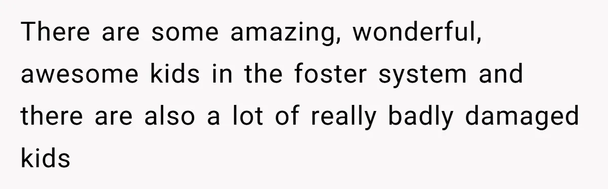 There are some amazing, wonderful, awesome kids in the foster system and there are also a lot of really badly damaged kids
