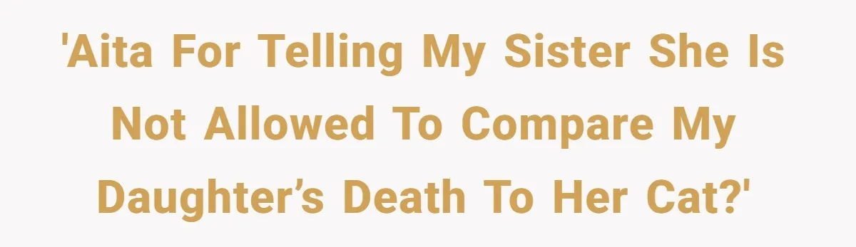 'AITA for telling my sister she is not allowed to compare my daughter’s death to her cat?'