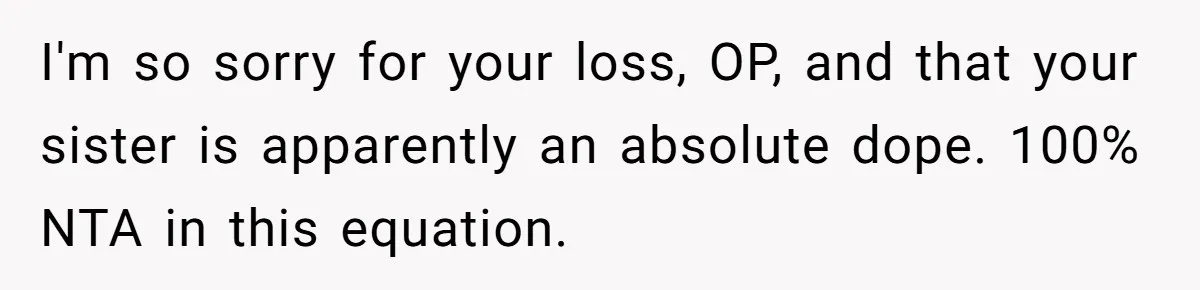 I'm so sorry for your loss, OP, and that your sister is apparently an absolute dope. 100% NTA in this equation.