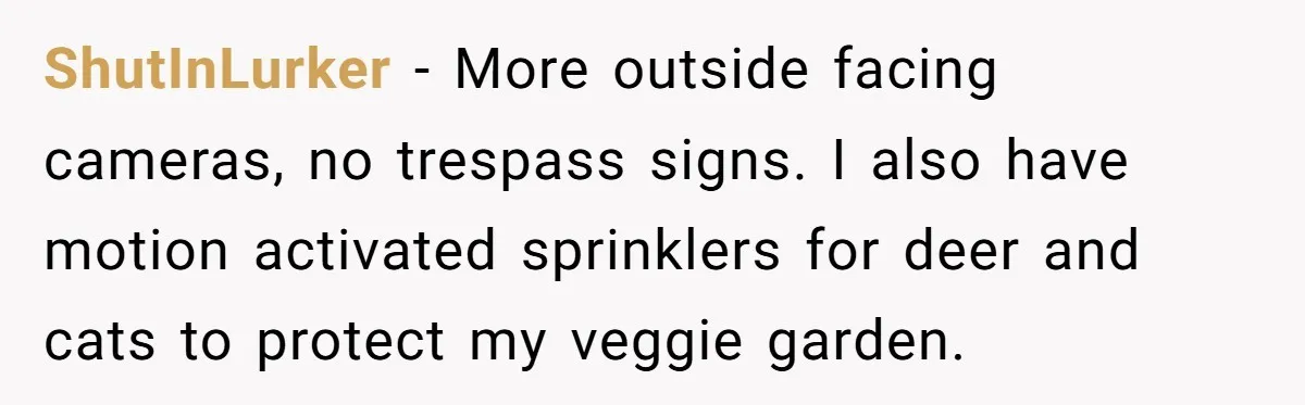 ShutInLurker − More outside facing cameras, no trespass signs. I also have motion activated sprinklers for deer and cats to protect my veggie garden.