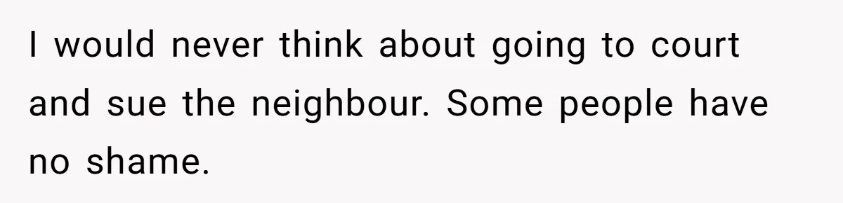 I would never think about going to court and sue the neighbour. Some people have no shame.