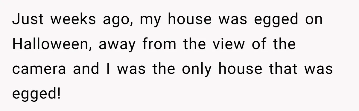 Just weeks ago, my house was egged on Halloween, away from the view of the camera and I was the only house that was egged!