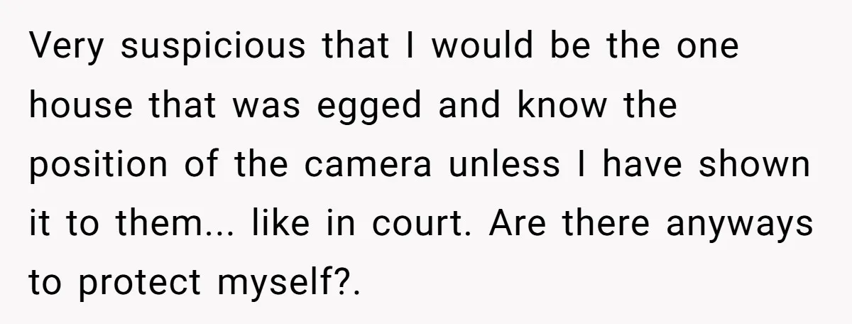 Very suspicious that I would be the one house that was egged and know the position of the camera unless I have shown it to them... like in court. Are...