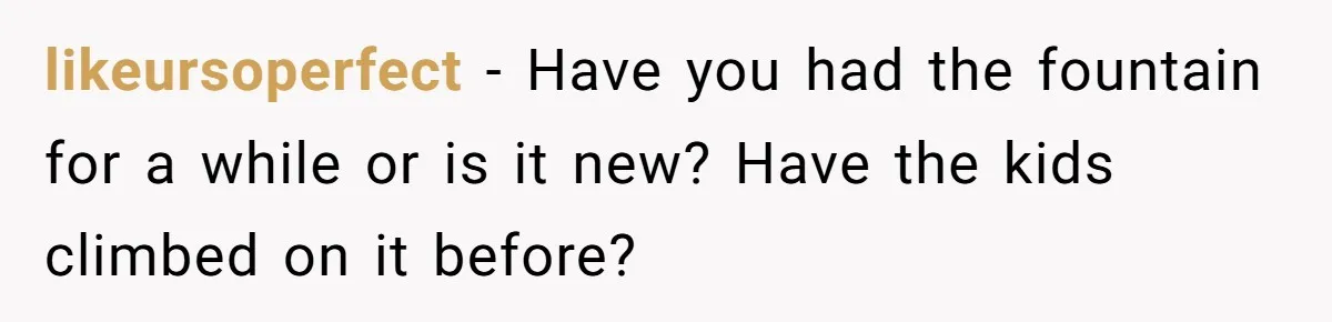 likeursoperfect - Have you had the fountain for a while or is it new? Have the kids climbed on it before?