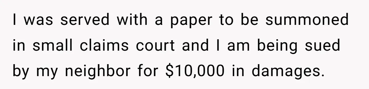 I was served with a paper to be summoned in small claims court and I am being sued by my neighbor for $10,000 in damages.