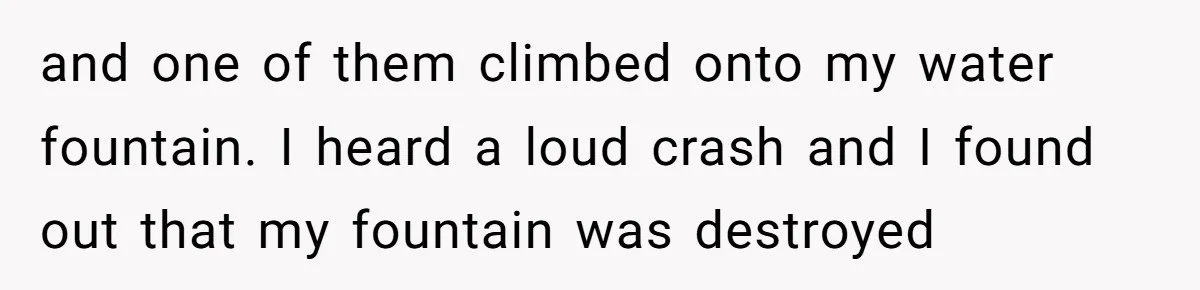 and one of them climbed onto my water fountain. I heard a loud crash and I found out that my fountain was destroyed