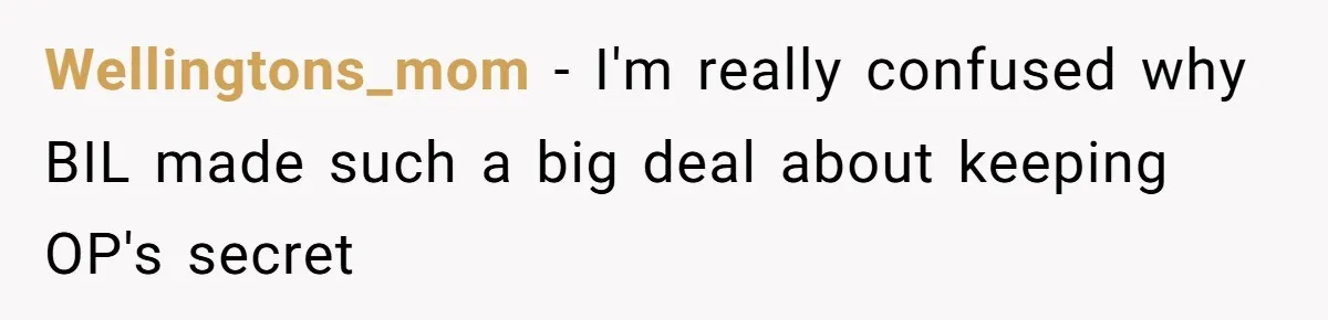 Wellingtons_mom − I'm really confused why BIL made such a big deal about keeping OP's secret