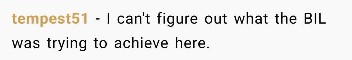 tempest51 − I can't figure out what the BIL was trying to achieve here.