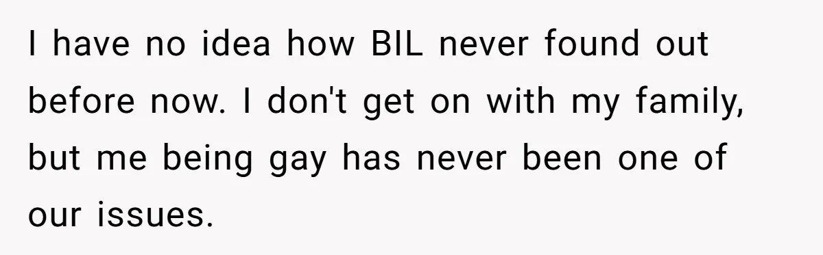 I have no idea how BIL never found out before now. I don't get on with my family, but me being gay has never been one of our issues.