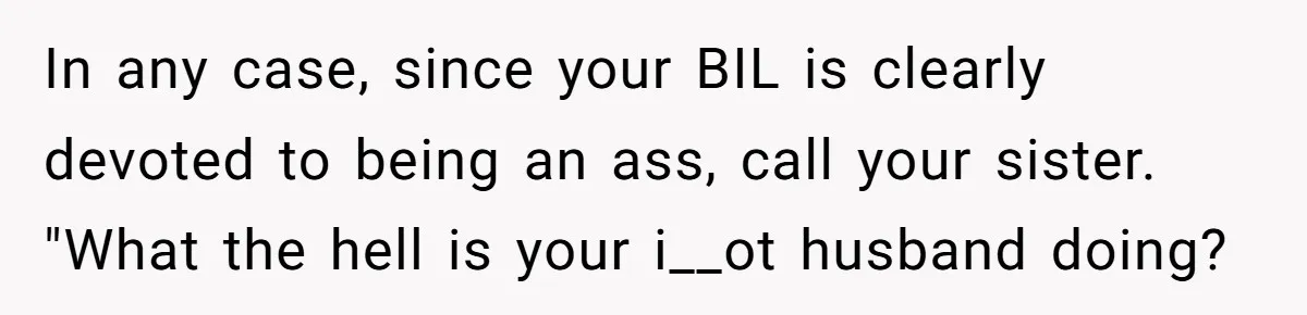 In any case, since your BIL is clearly devoted to being an ass, call your sister. "What the hell is your i__ot husband doing?