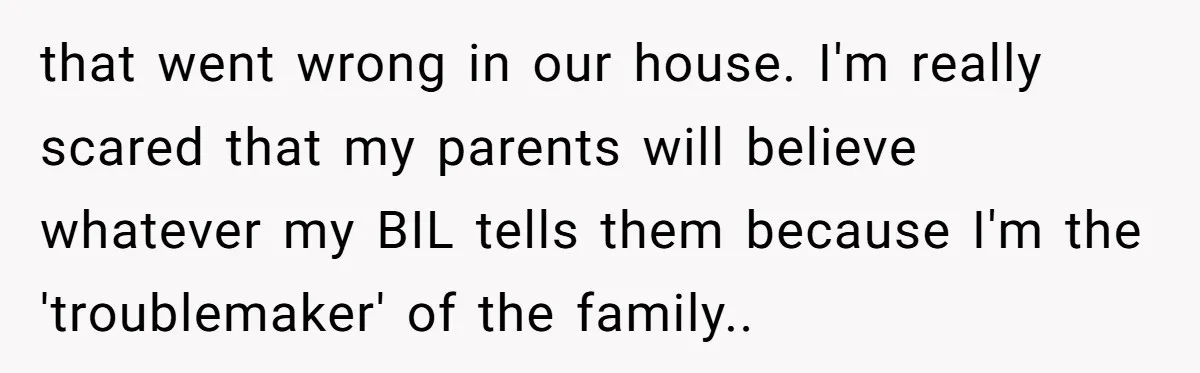 that went wrong in our house. I'm really scared that my parents will believe whatever my BIL tells them because I'm the 'troublemaker' of the family..