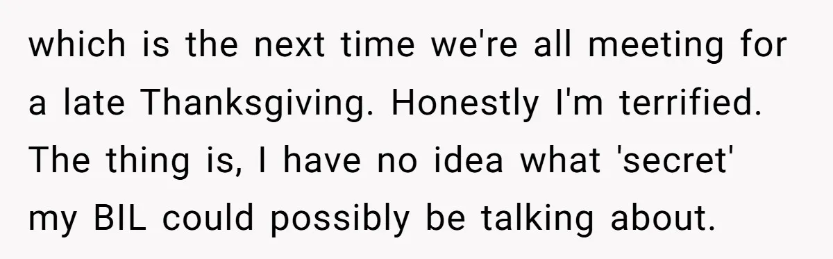 which is the next time we're all meeting for a late Thanksgiving. Honestly I'm terrified. The thing is, I have no idea what 'secret' my BIL could possibly be talking...