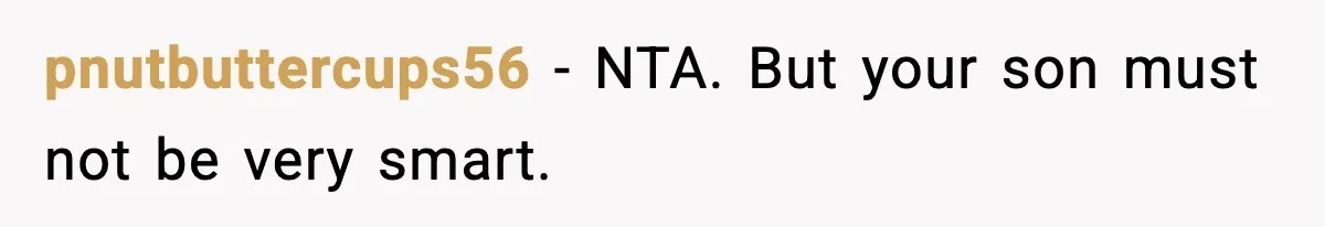 pnutbuttercups56 − NTA. But your son must not be very smart.