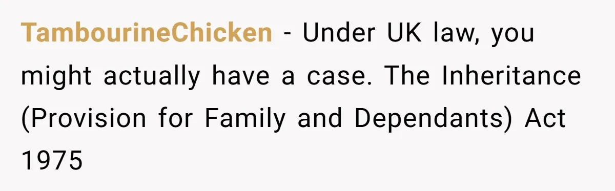TambourineChicken − Under UK law, you might actually have a case. The Inheritance (Provision for Family and Dependants) Act 1975
