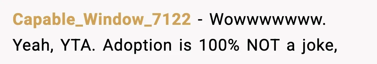 Capable_Window_7122 − Wowwwwwww. Yeah, YTA. Adoption is 100% NOT a joke,