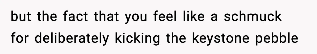 Woman Exposes Parents’ Affair To Both Families, Now Regrets Ruining Their Marriages but the fact that you feel like a schmuck for deliberately kicking the keystone pebble