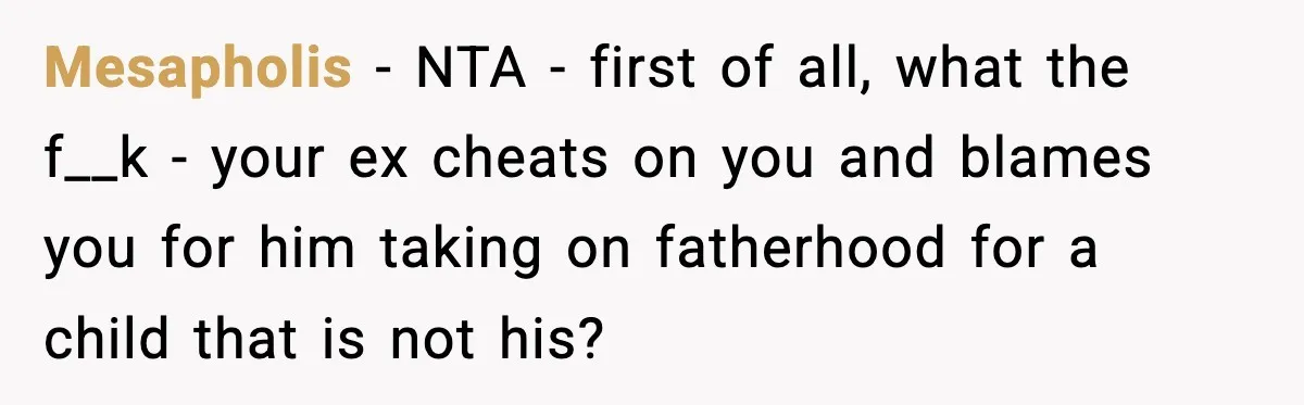 Mesapholis - NTA - first of all, what the f__k - your ex cheats on you and blames you for him taking on fatherhood for a child that is not...