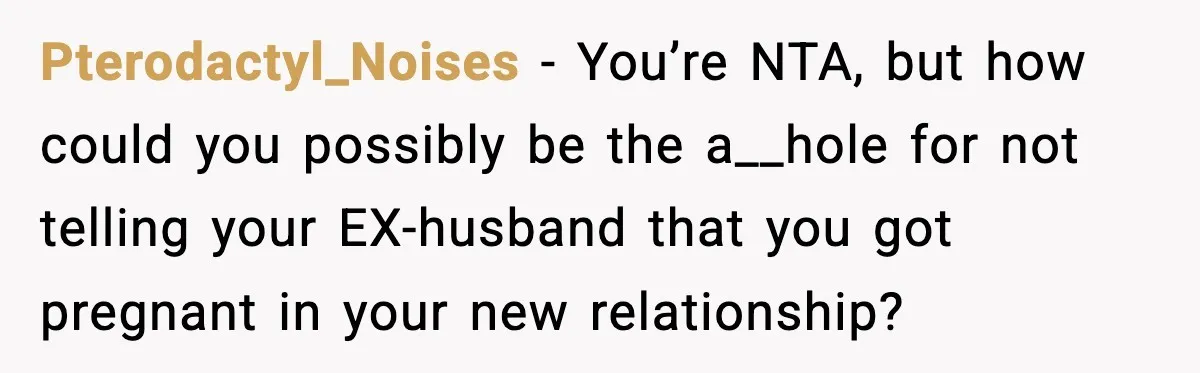 Pterodactyl_Noises − You’re NTA, but how could you possibly be the a__hole for not telling your EX-husband that you got pregnant in your new relationship?