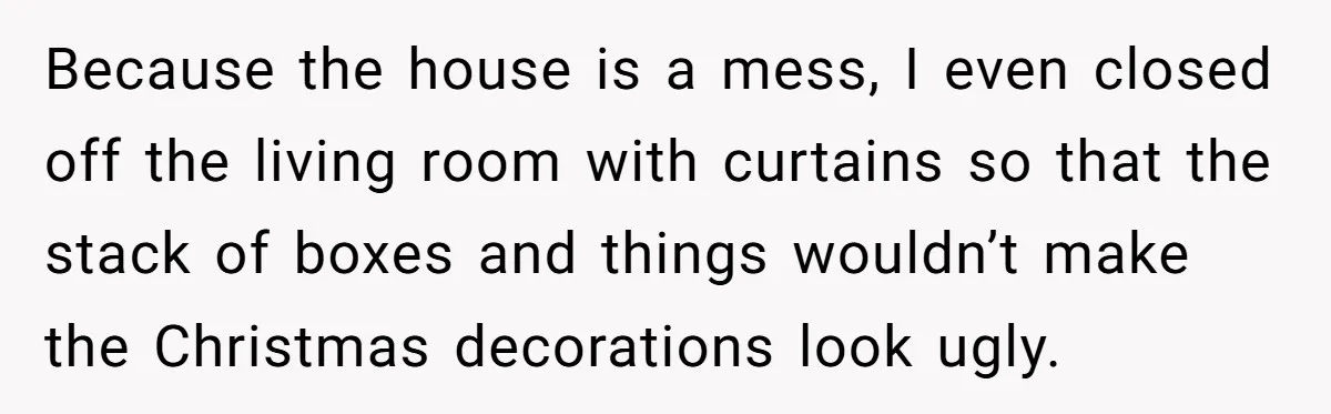 Because the house is a mess, I even closed off the living room with curtains so that the stack of boxes and things wouldn’t make the Christmas decorations look ugly.