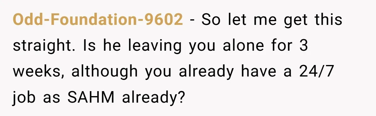 Odd-Foundation-9602 − So let me get this straight. Is he leaving you alone for 3 weeks, although you already have a 24/7 job as SAHM already?