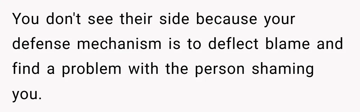 You don't see their side because your defense mechanism is to deflect blame and find a problem with the person shaming you.