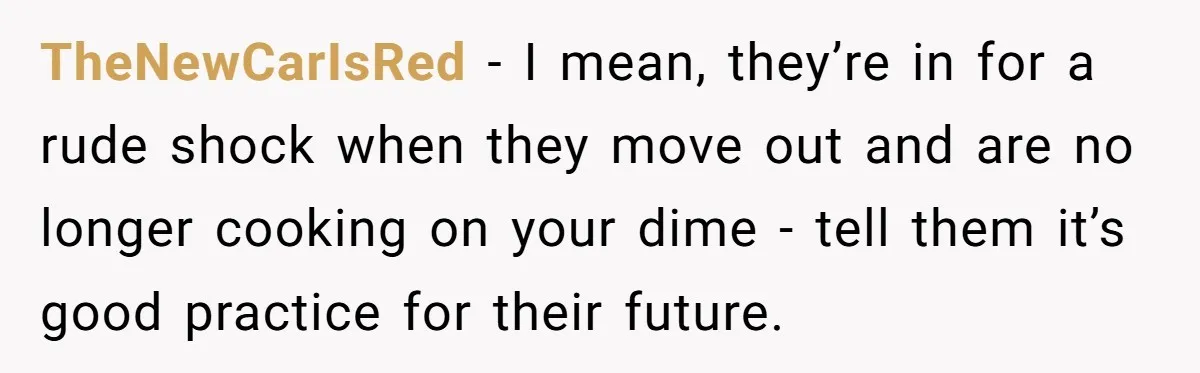 TheNewCarIsRed − I mean, they’re in for a rude shock when they move out and are no longer cooking on your dime - tell them it’s good practice for their...