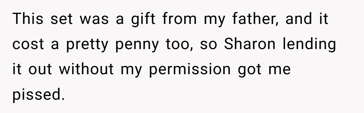 This set was a gift from my father, and it cost a pretty penny too, so Sharon lending it out without my permission got me pissed.