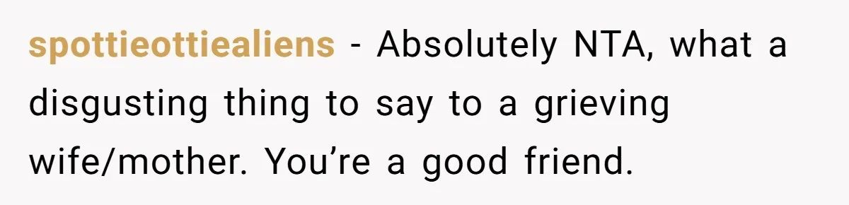 spottieottiealiens − Absolutely NTA, what a disgusting thing to say to a grieving wife/mother. You’re a good friend.